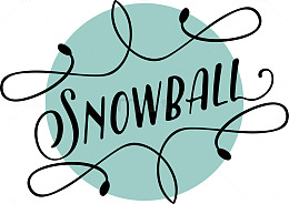 黑色雪球字母标志
