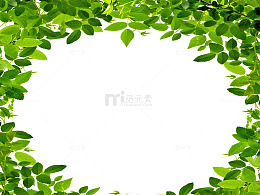色树叶相框图片