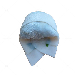 产品实物馄饨展示