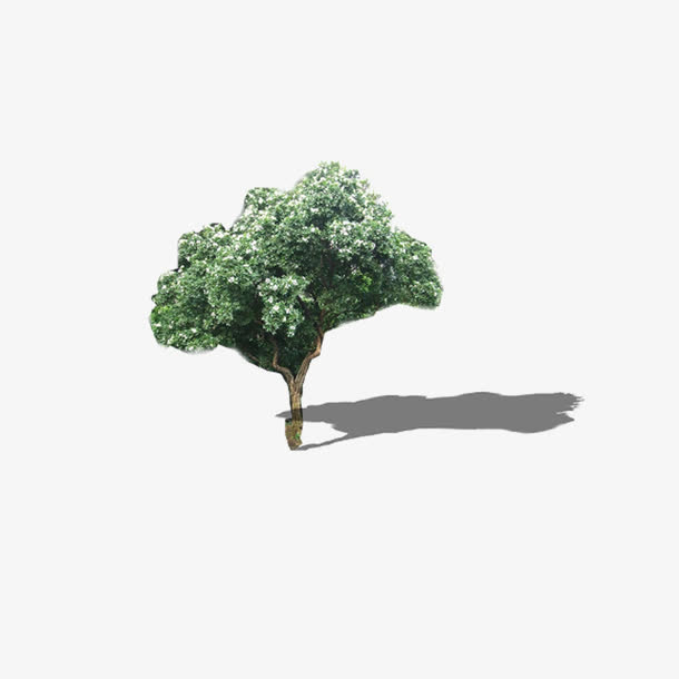 景观鸟瞰树免抠素材免费下载_觅元素51yuansu.com