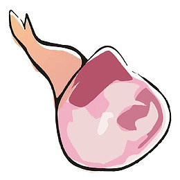 肥美的烤羊腿