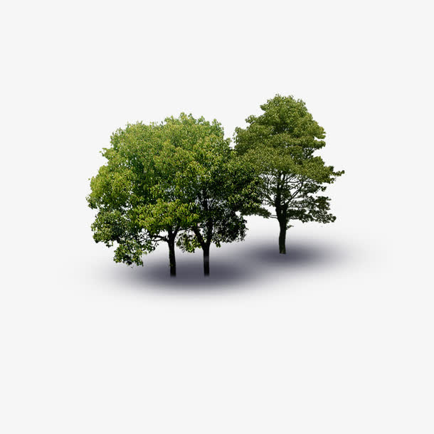 景观鸟瞰树素材免费下载_觅元素