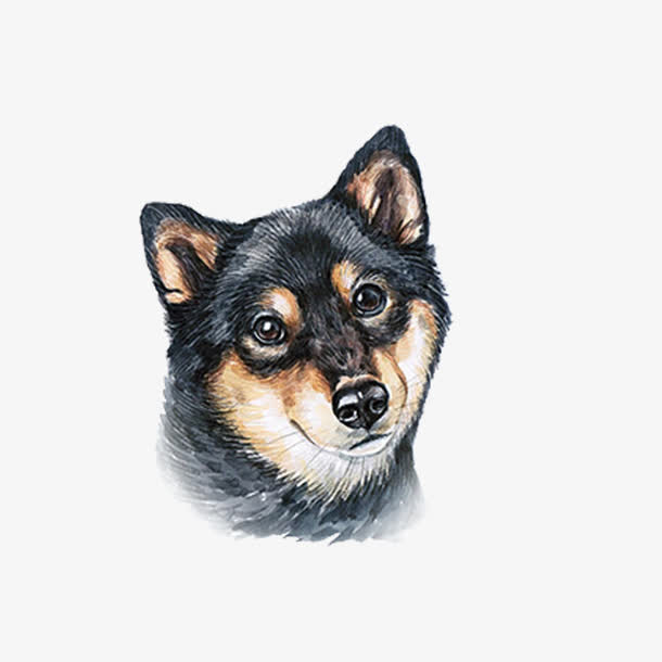 黑色的手绘小狗头像