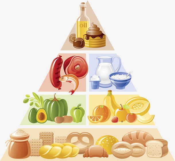 健康膳食金字塔卡通