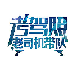 专业老司机
