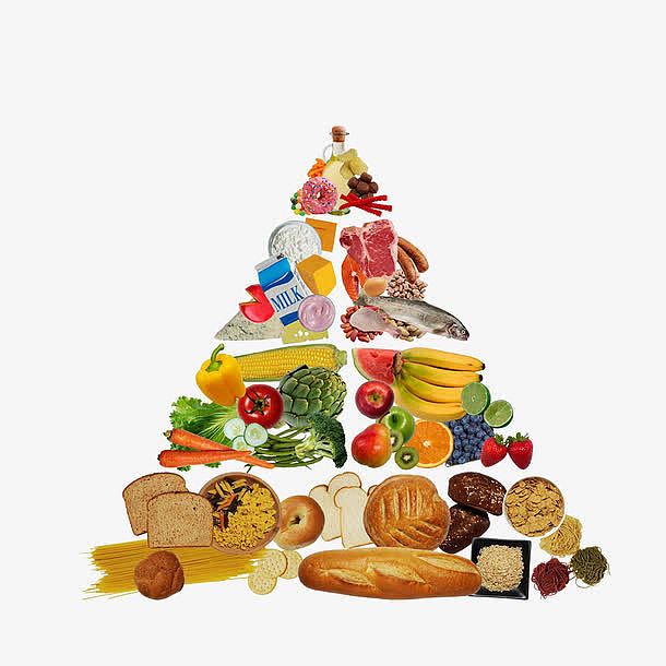 健康科学膳食金字塔
