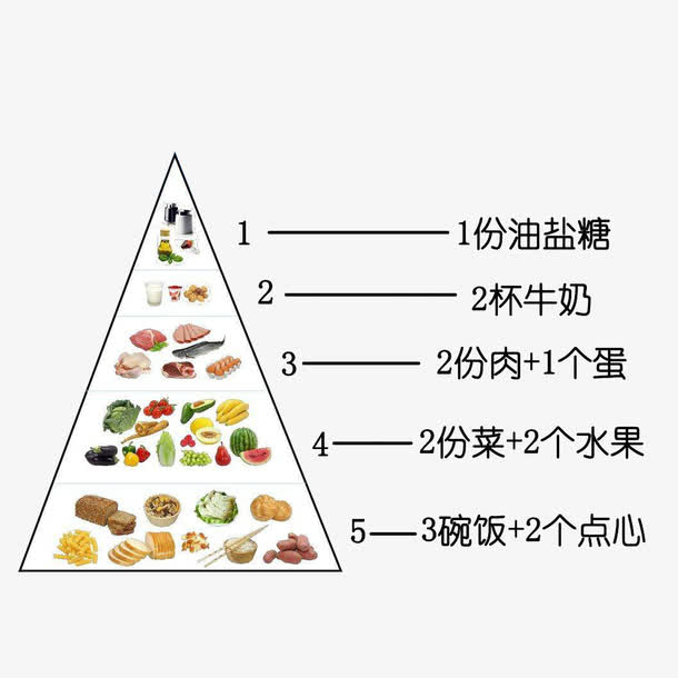 每天合理食物金字塔