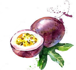 手绘喷墨百香果图片