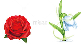 玫瑰花瓣堆