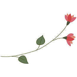 一只花儿