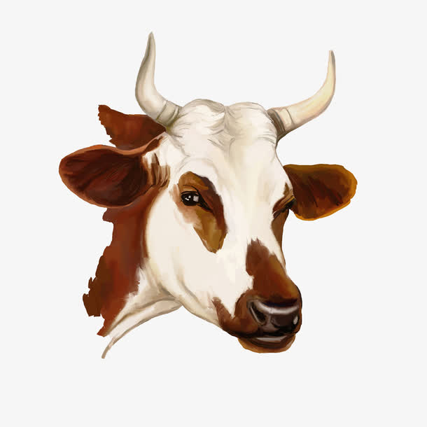 关键词 : 手绘,马头,生动,创意,白色,咖啡色,活灵活现[声明] 觅元素