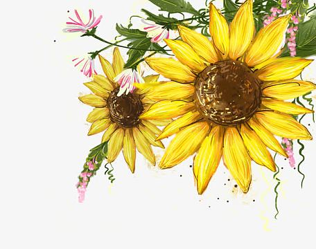 手绘向日葵装饰背景