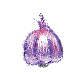 蜡笔画矢量大蒜头