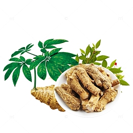 中医药材