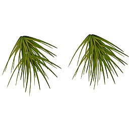 立体感松树松枝素材