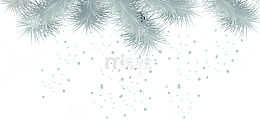 圣诞节冬日松枝雪花