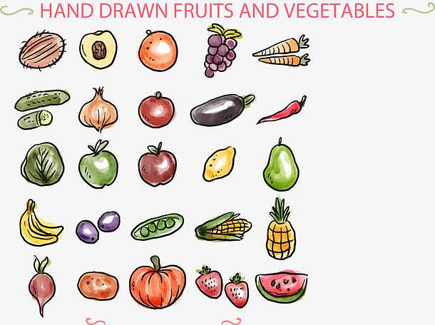 手绘25款水果和蔬菜矢量图