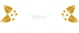 金色冬青25号标签