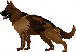 德国牧羊犬