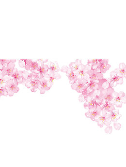 梦幻手绘樱花