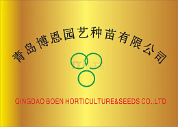钛金牌png元素