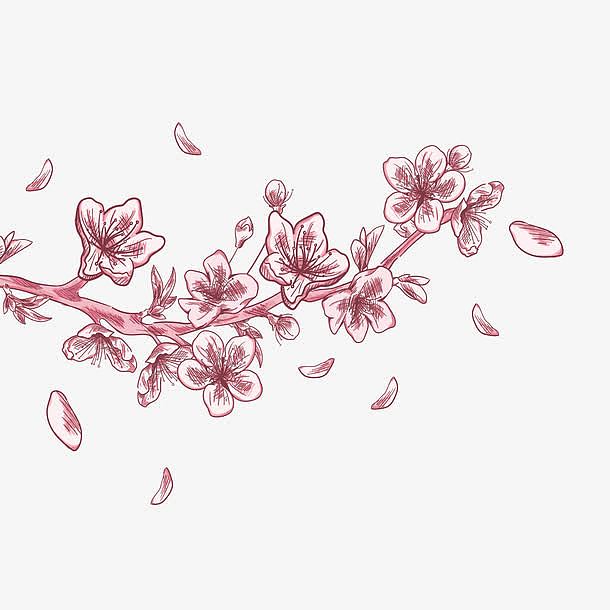 手绘樱花落花设计素材
