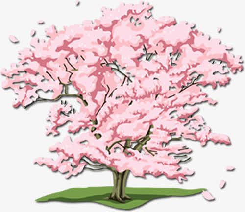 樱花树手绘