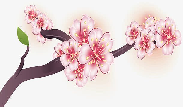 水彩樱花设计