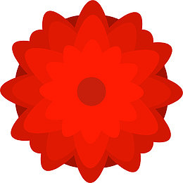 花瓣开放