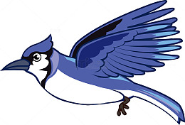 手绘中国风小鸟