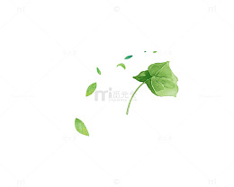 风吹荷叶绿色树叶