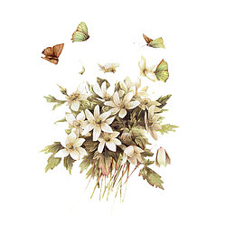 手绘花束