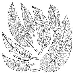 叶子花纹