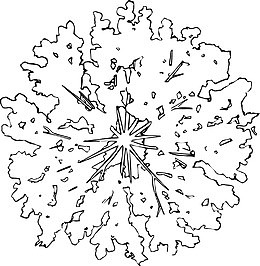 黑白线描素描花纹
