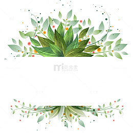 叶子花边矢量图
