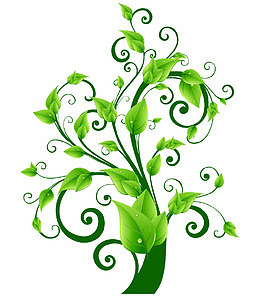 绿色叶子花纹