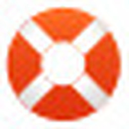 帮助环浮标Blueberry-Basic-icons