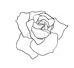 线描玫瑰花
