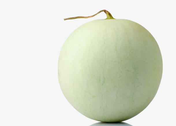 香瓜素材免费下载_觅元素