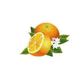 水果