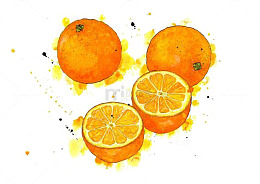 水彩橙子