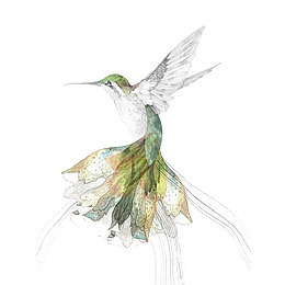 挥动翅膀的绿色小鸟