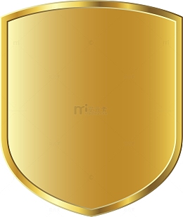 金色闪耀盾牌
