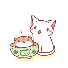 布偶图片粉色元素小猫咪