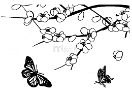 蝶恋梅花简笔画透明png