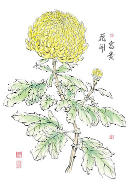 花开富贵