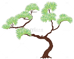 卡通松柏