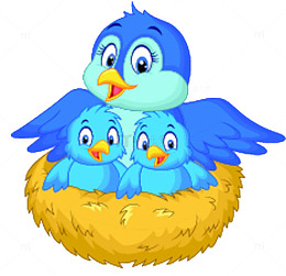 幸福的一家鸟儿