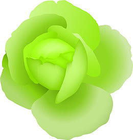 卡通绿色花朵花苞