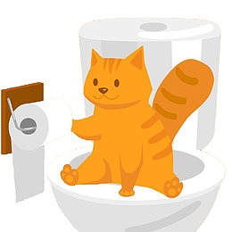 拿抽纸的猫咪